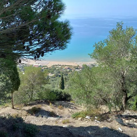 Serenity * פלקאס